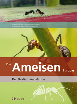  Das Titelbild ist aufgeteilt in 3 Teile – In der Mitte eine Ameise in Großaufnahme an einem Pflanzenstiel, oben zwei kleinere Ameisen und unten die Silhouette einer Ameise.
