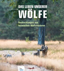 Eine Wolfsmutter geht mit ihren drei Jungen durchs hohe Gras.