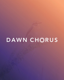  Themenbild zum Projekt „Dawn Chorus 2020“.