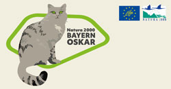 Das Bild zeigt eine stilisierte Wildkatze in einer Wabe und die Aufschrift „Natura 2000 BayernOskar“ sowie die Logos von Natura 2000 und dem LIFE-Programm.