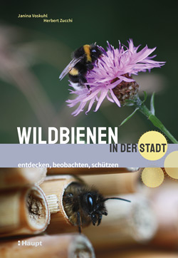 Das Titelbild besteht aus zwei Bildern. Beim oberen Bild sitzt eine Wildbiene auf einer lila Blüte, beim unteren kriecht eine Wildbiene gerade aus einem Bambusrohr, das als Legehilfe dient.