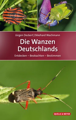 Das Titelbild ist aufgeteilt in 3 Fotos von verschiedenen Wanzen.