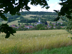  Blick auf Uetzing in der Nördlichen Frankenalb.