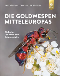  Das Titelbild zeigt die Großaufnahme einer Goldwespe, die auf einer Blüte sitzt.