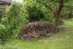  Heimische Gehölze und Stauden mit Holzhaufen in einem Garten.