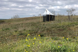 Das Foto zeigt eine Malaisefalle im Naturschutzgebiet Porphyrlandschaft bei Brachwitz, Sachsen-Anhalt.