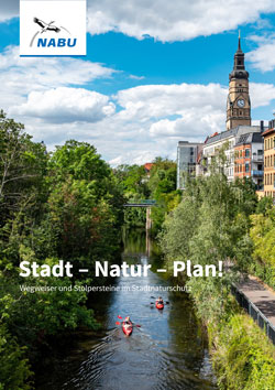 Das Bild zeigt eine Stadt mit einem Kanal, von Grün und Bäumen umgeben.