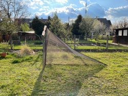 Foto eines Gartens, in dem eine Netzfalle aufgestellt ist.