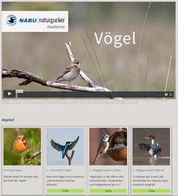  Das Bild zeigt das Startbild des Einführungsvideos und Teile der Kapitelübersicht, jeweils mit Bildern von typischen Arten für das Kapitel zum jeweiligen Lebensraum.