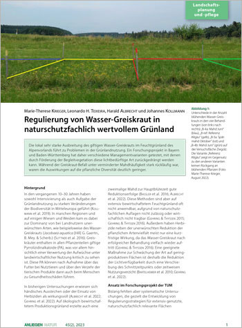 Ein mit Pfosten abgesteckter und mit farbigen Linien markierter Bereich in einer Grünlandfläche mit unterschiedlichen Mähbehandlungen. In einem der Bereiche sind sehr viele gelb blühende Wasser-Greiskraut-Pflanzen zu erkennen.