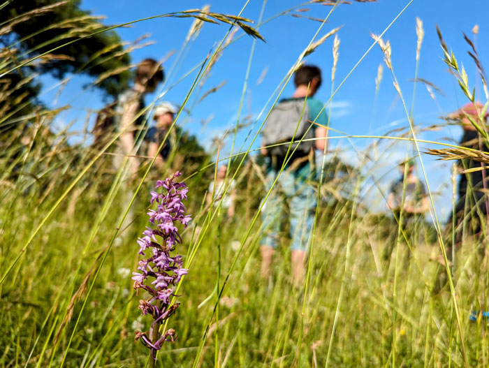 Teilnehmende am Kurs stehen im Kreis im hohen Gras.