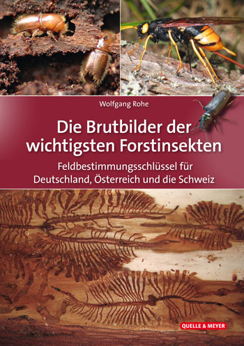 Das Titelbild zeigt mehrere Fotos von Forstinsekten und ihren Spuren im Holz.