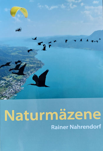 Luftaufnahme von Waldrappen, während des Fluges aufgenommen; im Hintergrund fliegt ein Mann mit einem motorisierten Gleitschirm.