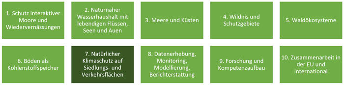 Die Abbildung zeigt die zehn Handlungsfelder im Aktionsprogramm Natürlicher Klimaschutz: 1. Schutz interaktiver Moore und Wiedervernässungen; 2. Naturnaher Wasserhaushalt mit lebendigen Flüssen, Seen und Auen; 3. Meere und Küsten; 4. Wildnis und Schutzgebiete; 5. Waldökosysteme; 6. Böden als Kohlenstoffspeicher; 7. Natürlicher Klimaschutz auf Siedlungs- und Verkehrswegen; 8. Datenerhebung, Monitoring, Modellierung, Berichterstattung; 9. Forschung und Kompetenzaufbau; 10. Zusammenarbeit in der EU und international.