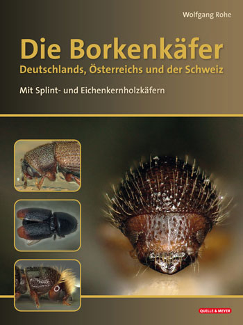 Das Titelbild zeigt einen Borkenkäfer in Großaufnahme sowie drei kleinere Fotos von anderen Holzkäfern.