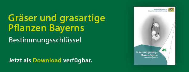 Titelseite Bestimmungsschlüssel Gräser und grasartige Pflanzen Bayerns