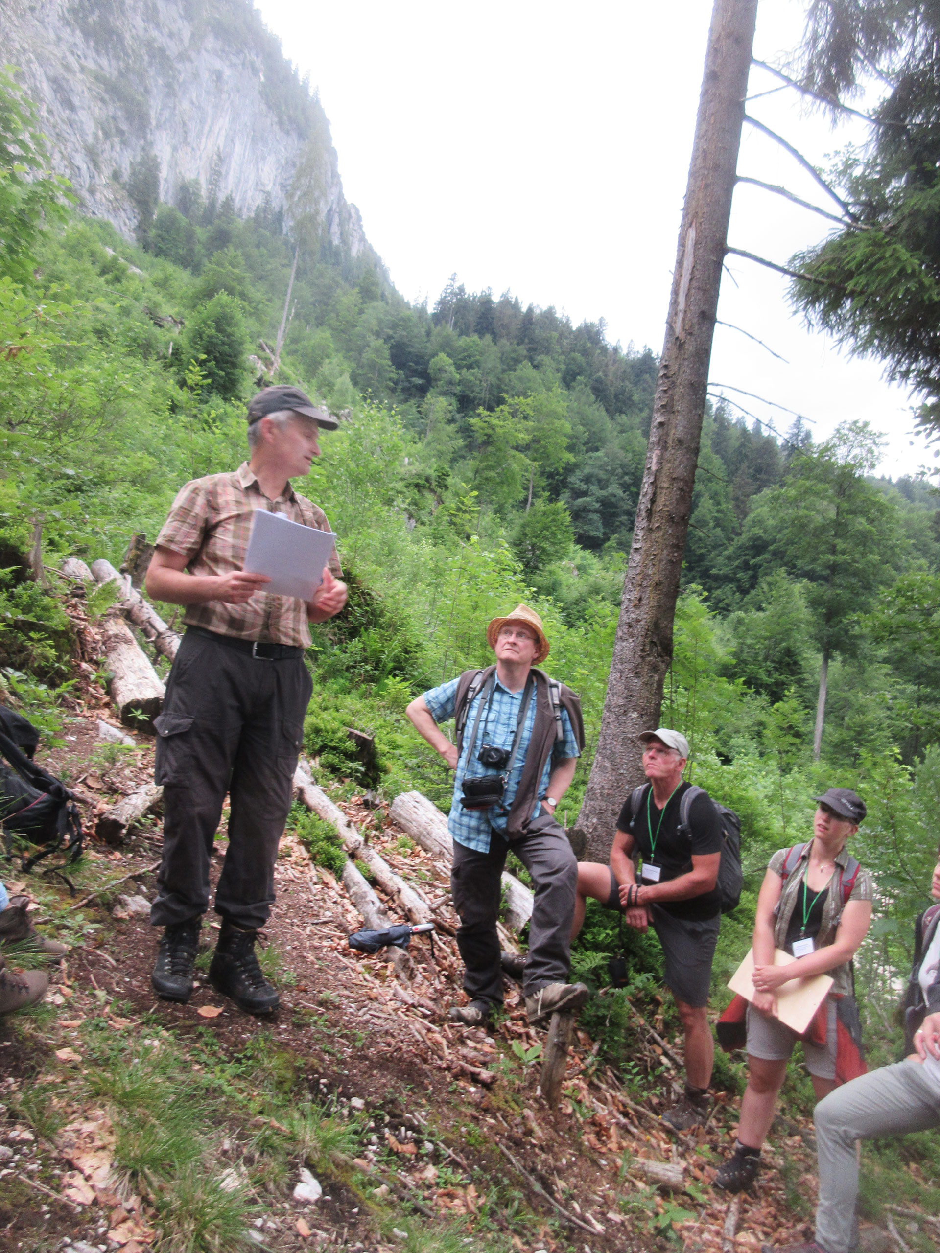 Exkursionsgruppe am Hang vor einem Waldrand.