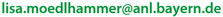 Bitte geben Sie die E-Mail-Adresse entsprechend dem Muster ein. Sie setzen sich aus vorname.name@anl.bayern.de zusammen.