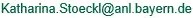 Bitte geben Sie die E-Mail-Adresse entsprechend dem Muster ein. Sie setzen sich aus vorname.name@anl.bayern.de zusammen.