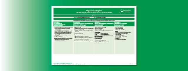 Organisationsplan, aufgeteilt in die vier Fachbereiche