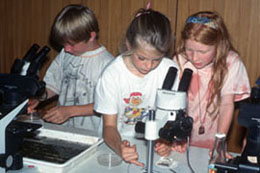 A group of children is exploring and determining placement of plants in the area of the ANL