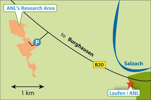 A travel guide to the ANL’s Research Area Straß