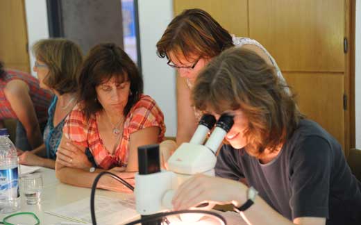 Participants in the hornet's course sit around a binocular and evaluate the results.