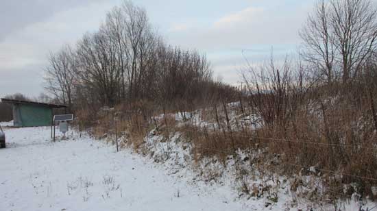 Schneebedeckte Weidefläche, rechts im Bild ausgezäunter Rain, der mit Gehölzen und Stauden bewachsen ist.