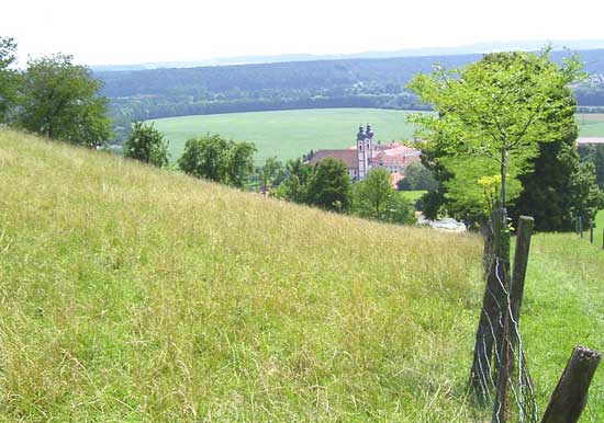 Blick auf hangabwärts führende, eingezäunte hochgewachsene Wiese. Im Hintergrund sind eine Kirche, weite Grünlandflächen und Wald zu sehen.