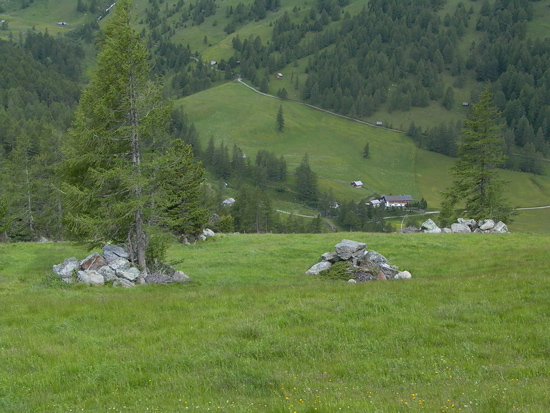 Auf einer Wiese stehen Steinhaufen von zirka einem Meter Durchmesser. Teilweise sind die Steine um Bäume herum aufgeschlichtet.