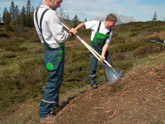 Zwei Männer mit grünen Arbeitslatzhosen und weißen Oberteilen kehren mit Laubrechen die Reste nach dem Schwenden auf einer Weide weg.