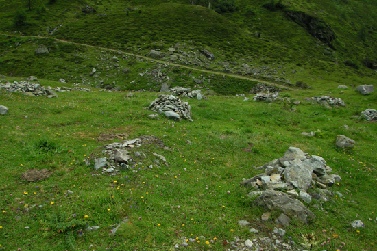 Auf derselben Fläche wie in Abbildung 58 stehen mehrere Steinhaufen, bestehend aus den aufgeschichteten Steinen, die vorher über die Weide verteilt lagen.