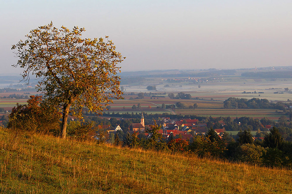 Landschaftsbild mit einem von Feldern und Bäumen umgebenem Dort mit Kirche.