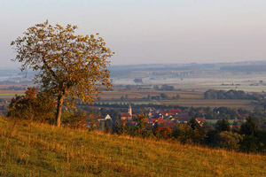 Landschaftsbild mit einem von Feldern und Bäumen umgebenem Dort mit Kirche.