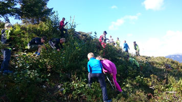 Etwa ein Dutzend Kinder halten sich an einem Wiesenhang im Freien auf und betrachten die Vegetation.