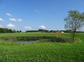 Im Bild ist ein kleines Gewässer auf einer Wiese zu sehen, das aus einem Toteisblock nach der letzten Eiszeit entstanden ist.