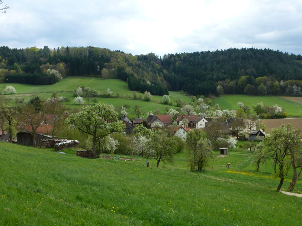 Panoramablick über alte Streuobstwiesen im Ort Kümmel im Landkreis Lichtenfels.