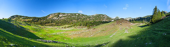 Alpenlandschaft mit Almwiesen vor latschenbewachsenen Hängen.