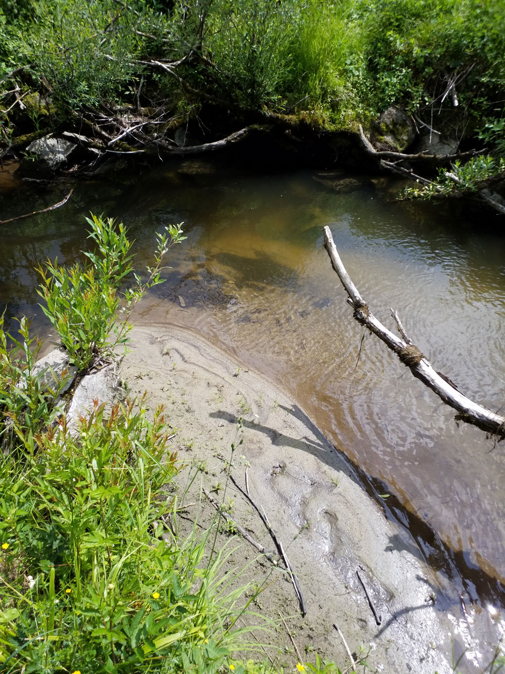 Flussbett mit Uferböschung und Sandbank.