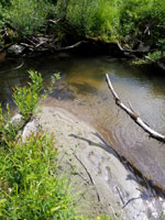 Flussbett mit Uferböschung und Sandbank.