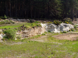 Sandsteinwände in einem aufgelassenen Steinbruch.