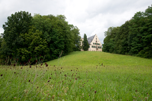 Beidseits gesäumt von alten Bäumen steht auf einer wiesenbestandenen Anhöhe ein schönes altes Schloss.