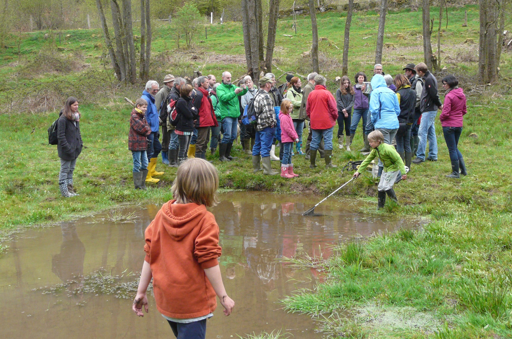 Zwei Kindern fangen Kaulquappen aus einer Wasserbüffel-Suhle vor einer Gruppe Erwachsener, die einem Naturführer zuhört.