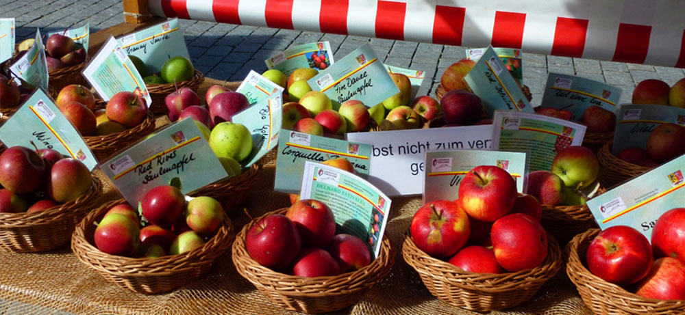 In kleinen Körben sind verschiedene alte Apfelsorten auf einem Marktstand zu sehen.