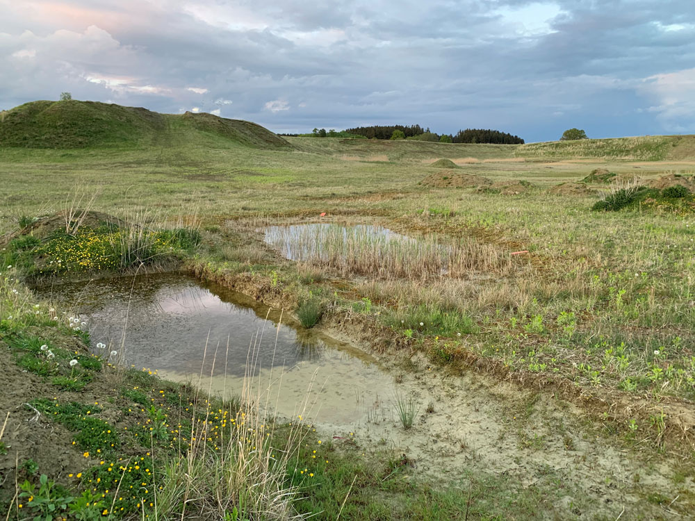 Zwei flache, fast vegetationsfreie Tümpel liegen im Vordergrund. Dahinter schließt sich eine von schütterem Grasbewuchs geprägte Landschaft an.