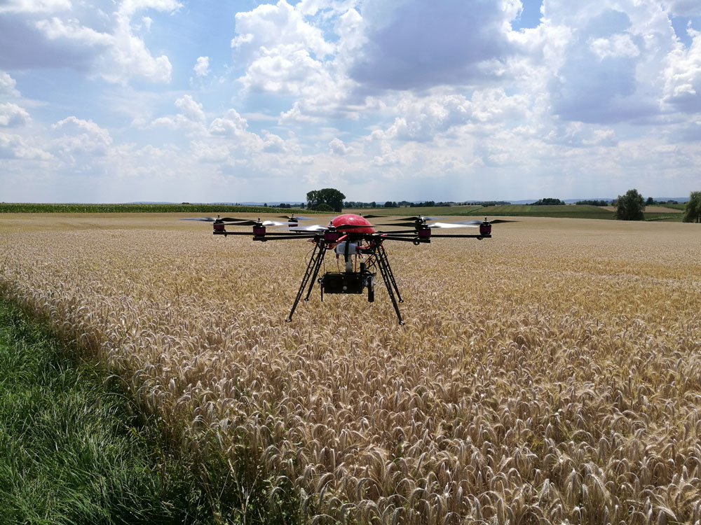 Mittig im Bild ist eine Drohne abgebildet. Sie fliegt über einem Getreidefeld. 