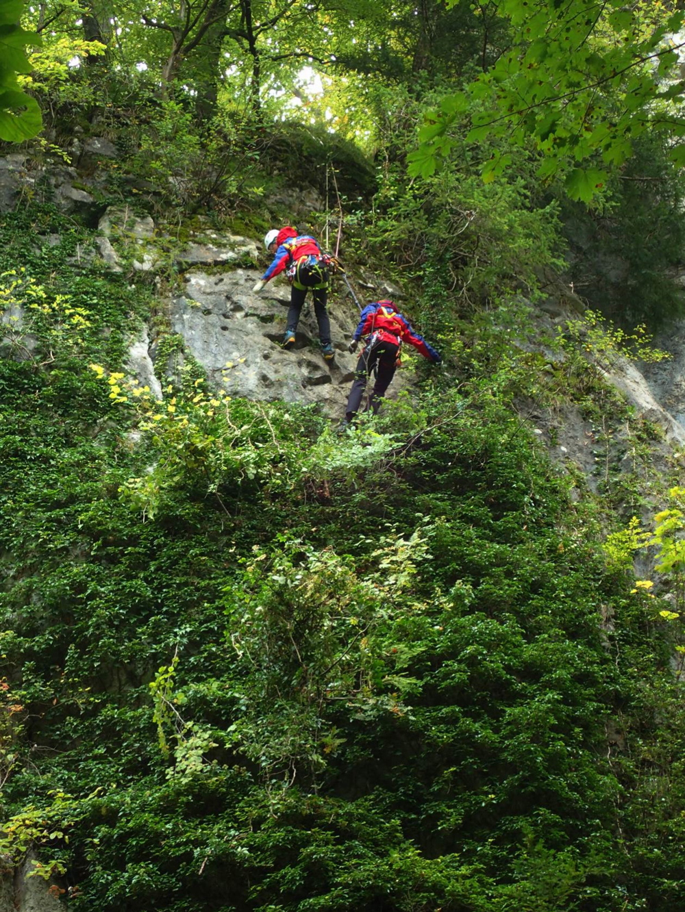 Kalk-Felswand, die nahezu flächendeckend von Efeu überwuchert ist. Zwei abgeseilte Männer schneiden den Bewuchs weg, damit der Farn wieder Lebensraum bekommt.