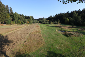 Ein Tal mit teils gemähten, teils ungemähten Wiesen wird an beiden Seiten von Wald begrenzt.