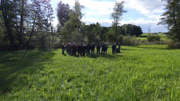 Das Bild zeigt im Zentrum eine Gruppe von zirka 30 Personen, die im Kreis zusammenstehen und aufmerksam einem Vortrag über die Fläche zuhören, auf der sie soeben stehen. Die gemähte Nasswiese wirkt im September auf den ersten Blick nicht sehr artenreich – doch bei genauerem Hinsehen erkennt man den Artenreichtum. Im Hintergrund verläuft der Haselbach. Entlang des Bachs sind Schilfröhrichte und Auwaldstreifen ausgebildet.