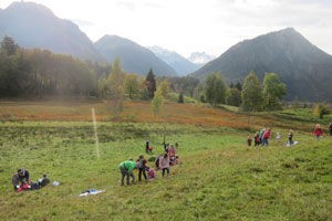 Es ist Herbst. Im Hintergrund sieht man die Allgäuer Berge unter einem grauen Himmel. Eine bereits bräunlich verfärbte Streuwiese sowie Laub- und Nadelwälder trennen die Schüler im Vordergrund von den halbrunden Bergen. Die Klasse ist damit beschäftigt, den Lebensraum Wiese in mehreren Kleingruppen zu untersuchen.